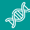 veerbung_logo.png