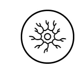 www.webp