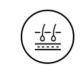 www.webp