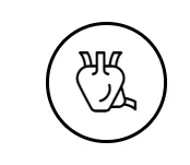 www.webp