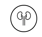 www.webp