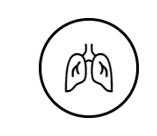 www.webp
